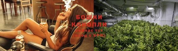 мескалин Заполярный