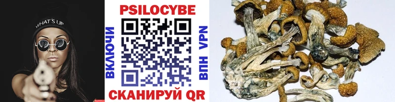 Псилоцибиновые грибы ЛСД  omg ССЫЛКА  Ирбит 